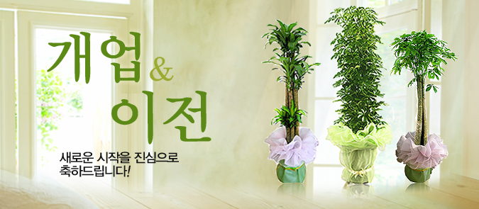 개업/이전
